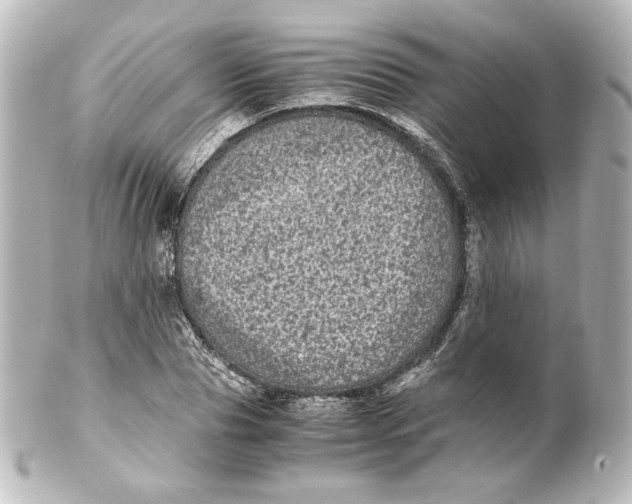 X0000101430929200807280957