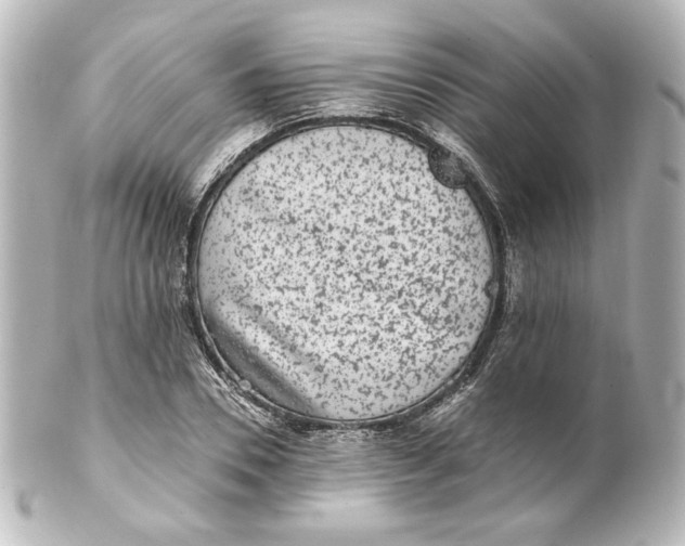 X0000101430930200807280957