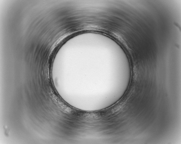 X0000101430931200807280957