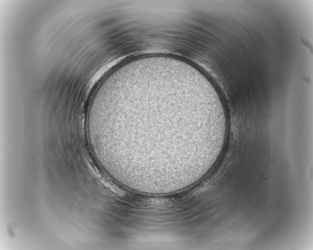 X0000101430933200807280957