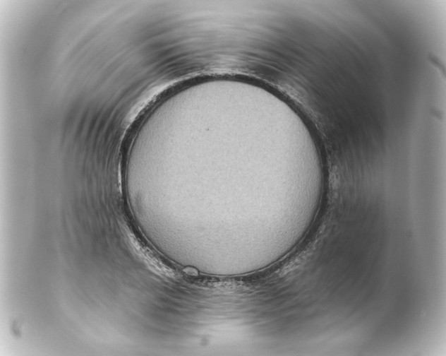 X0000101430934200807280957