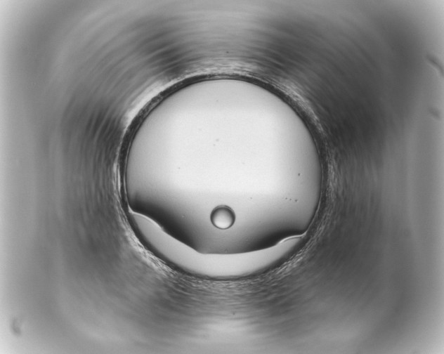 X0000101430936200807280957