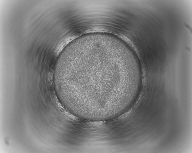 X0000101430937200807280957