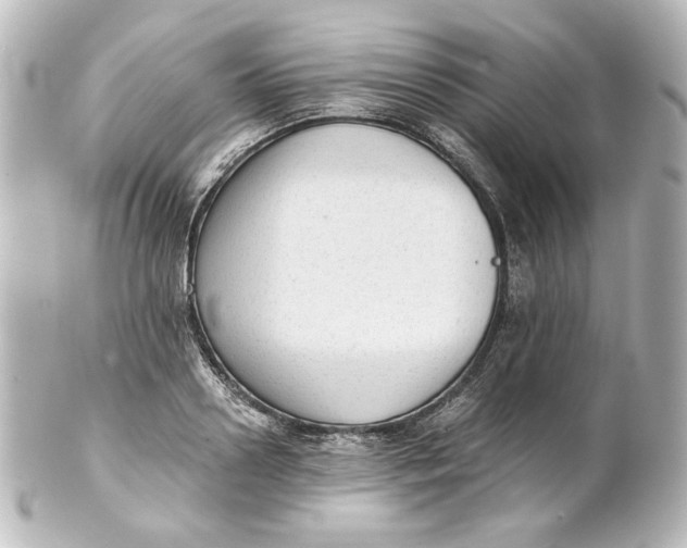 X0000101430938200807280957