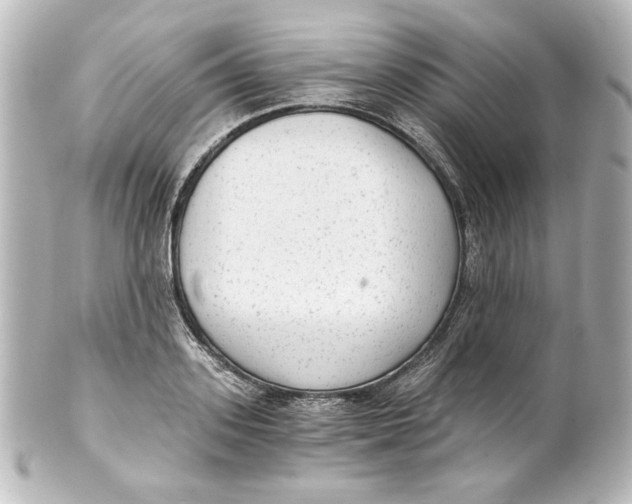 X0000101430939200807280957