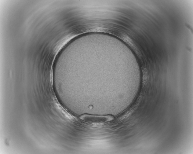 X0000101430940200807280957