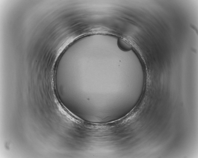 X0000101430941200807280957