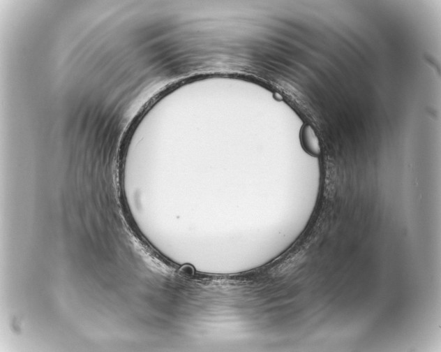 X0000101430942200807280957