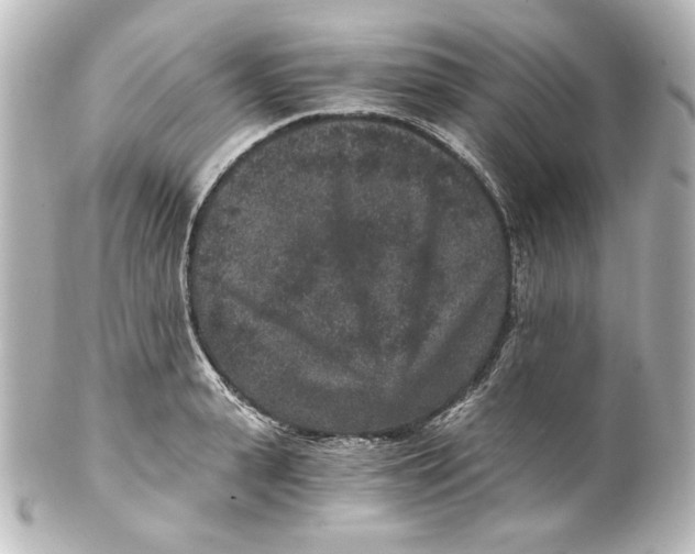 X0000101430943200807280957