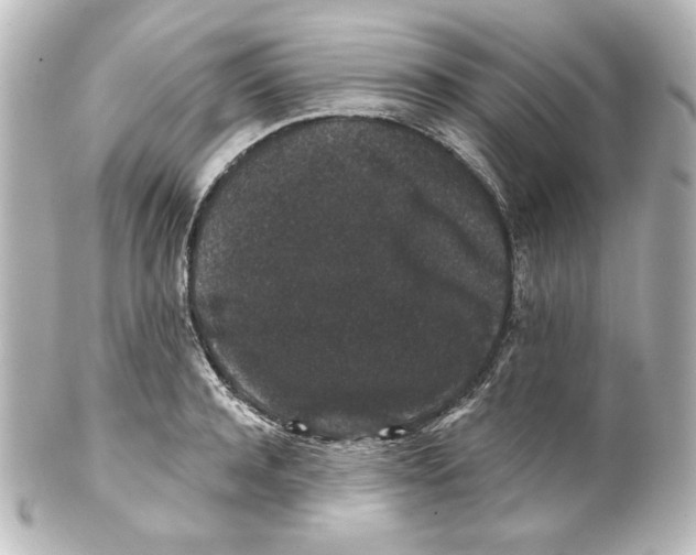 X0000101430944200807280957