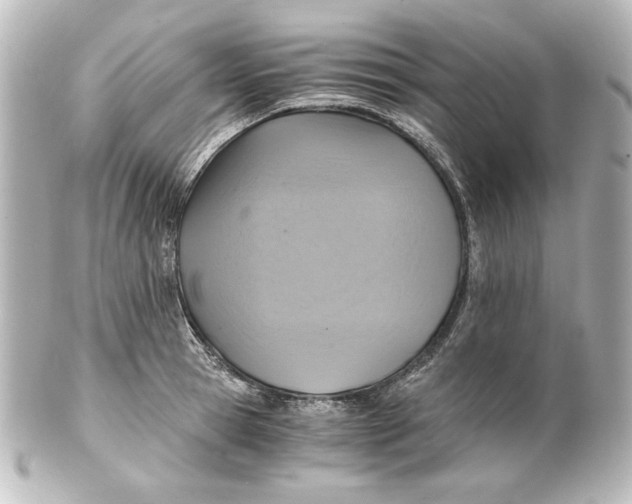 X0000101430945200807280957