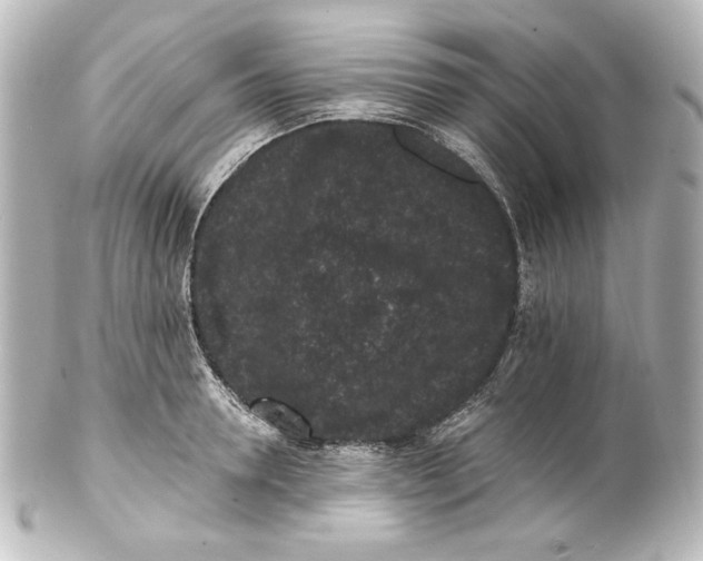 X0000101430946200807280957