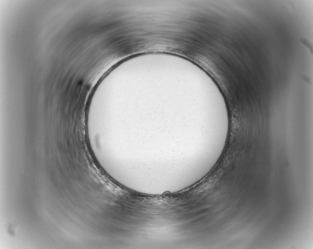 X0000101430948200807280957