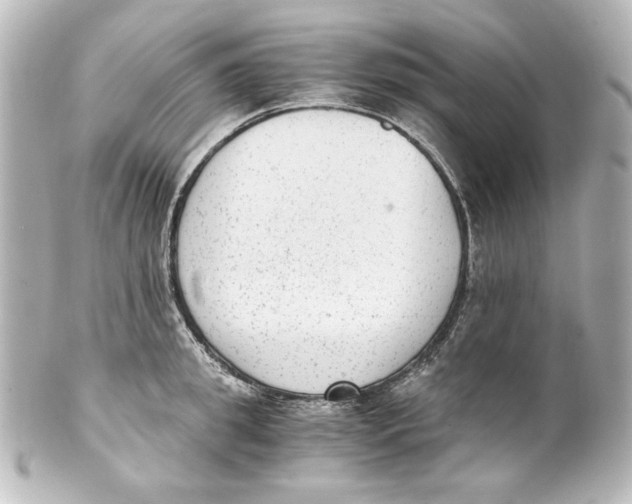 X0000101430949200807280957