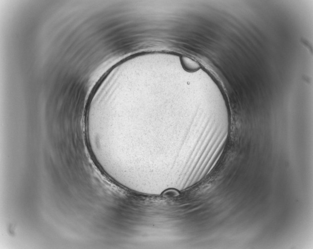 X0000101430951200807280957