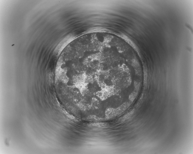 X0000101430953200807280957