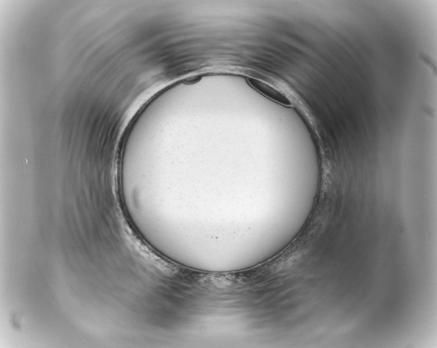 X0000101430955200807280957