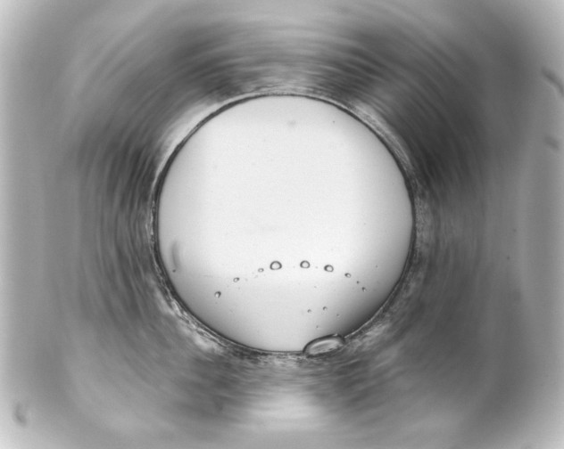 X0000101430956200807280957