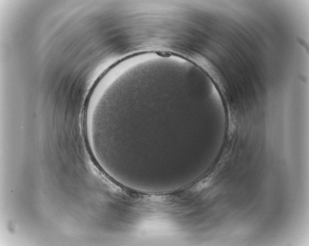 X0000101430958200807280957