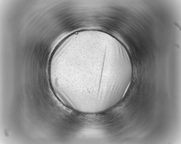 X0000101430959200807280957