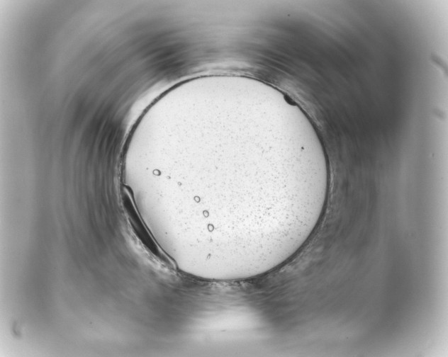 X0000101430960200807280957