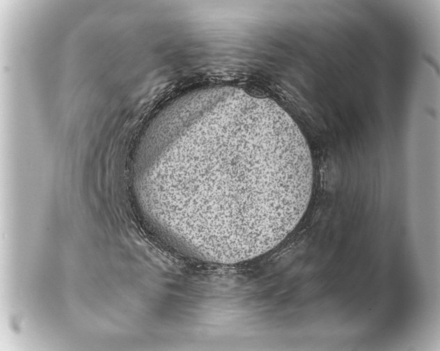 X0000101430961200807280957