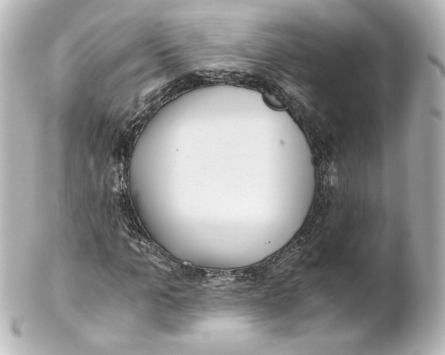 X0000101430965200807280957