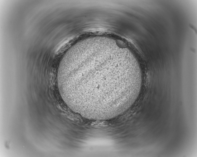 X0000101430967200807280957