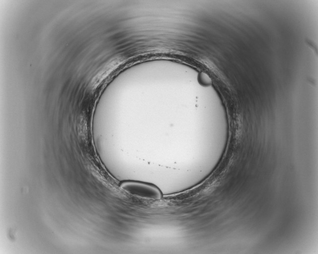 X0000101430969200807280957