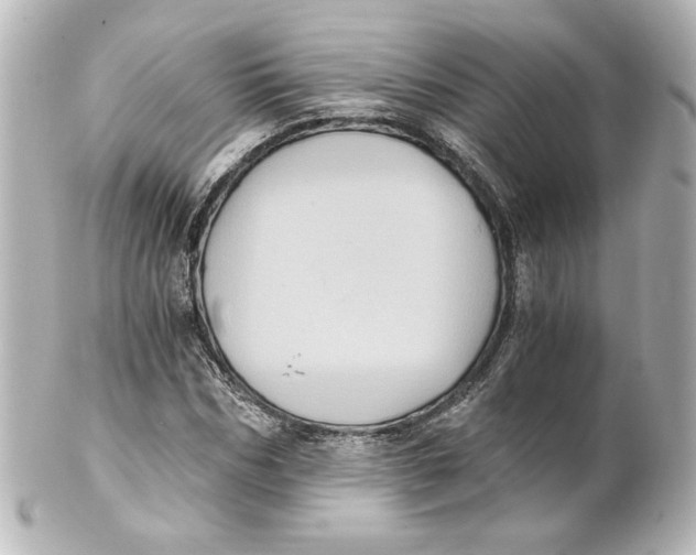 X0000101430970200807280957