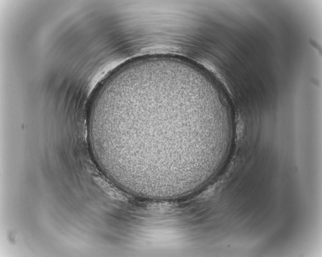 X0000101430973200807280957