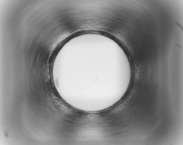 X0000101430974200807280957