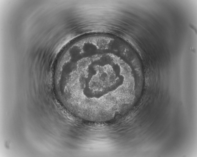 X0000101430975200807280957