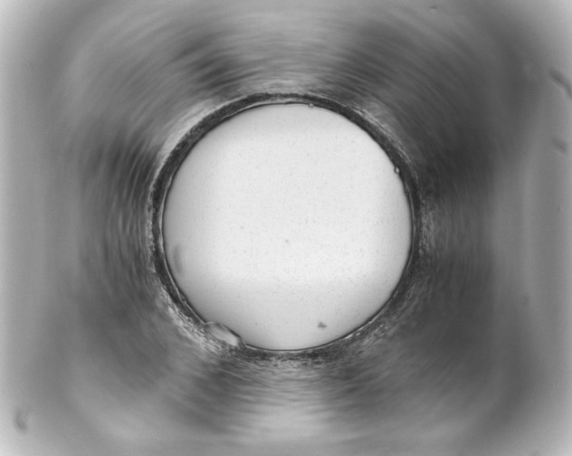 X0000101430976200807280957