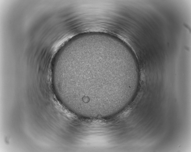 X0000101430979200807280957