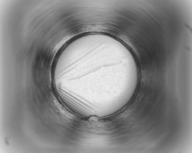 X0000101430980200807280957