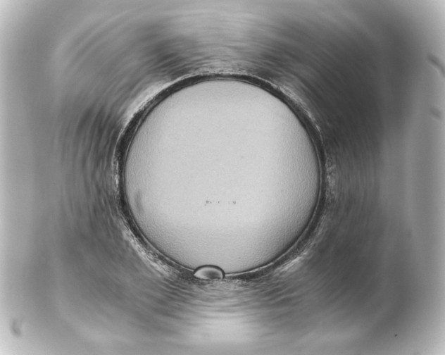 X0000101430981200807280957