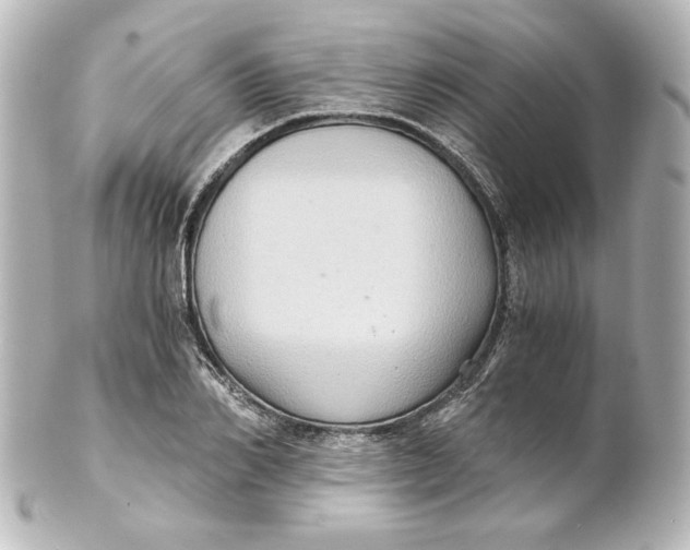 X0000101430982200807280957