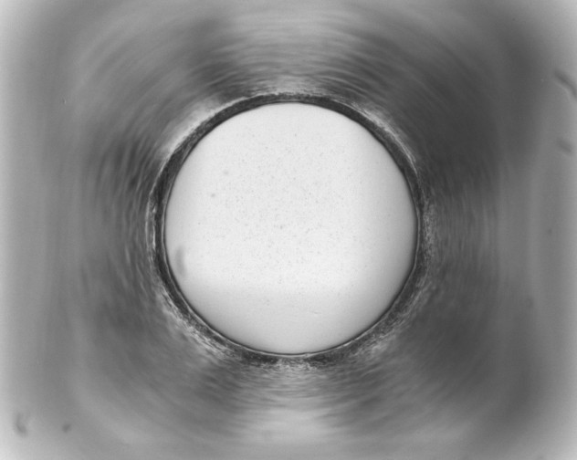 X0000101430983200807280957