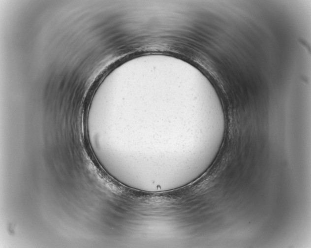 X0000101430984200807280957