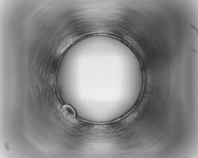 X0000101430985200807280956