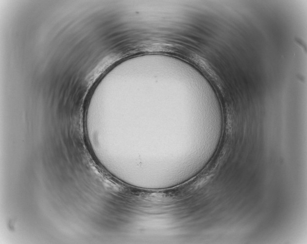 X0000101430986200807280956