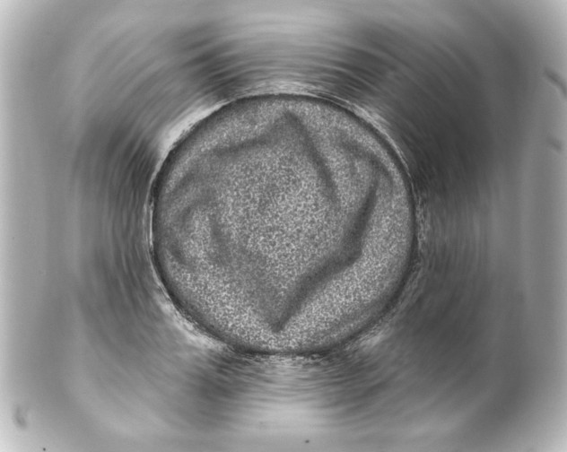 X0000101430987200807280956