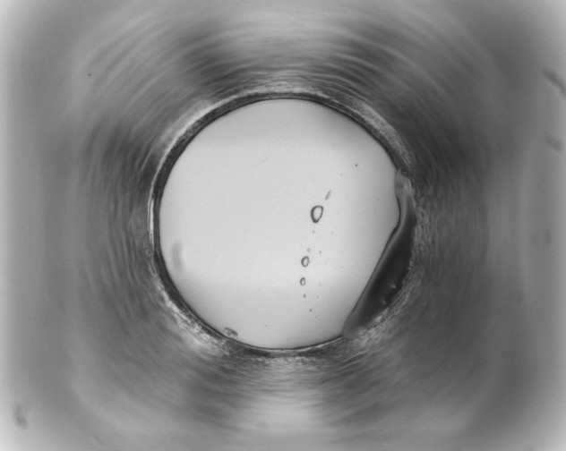 X0000101430988200807280956