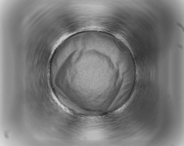 X0000101430989200807280956