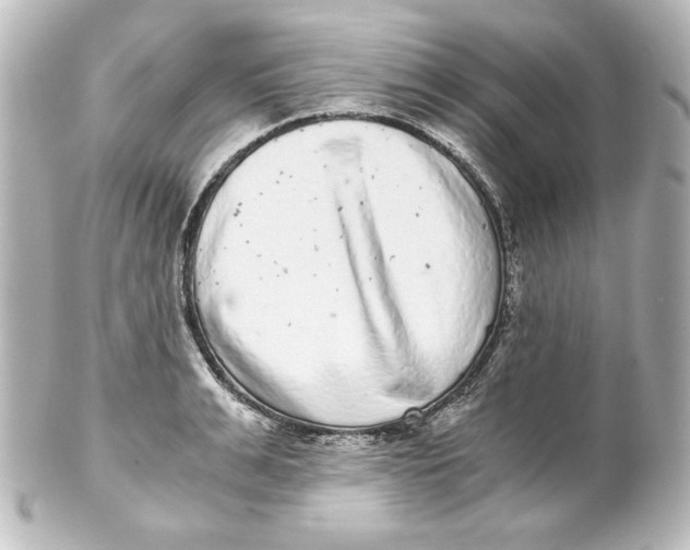 X0000101430991200807280956