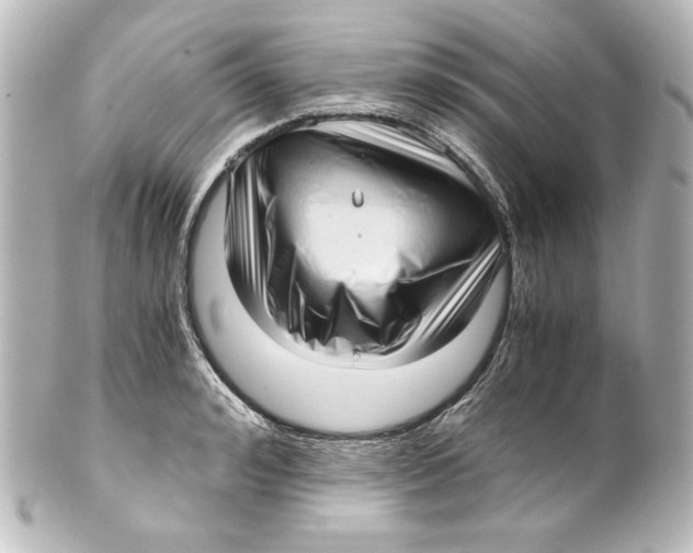 X0000101430992200807280956