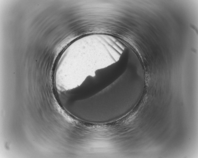 X0000101430995200807280956