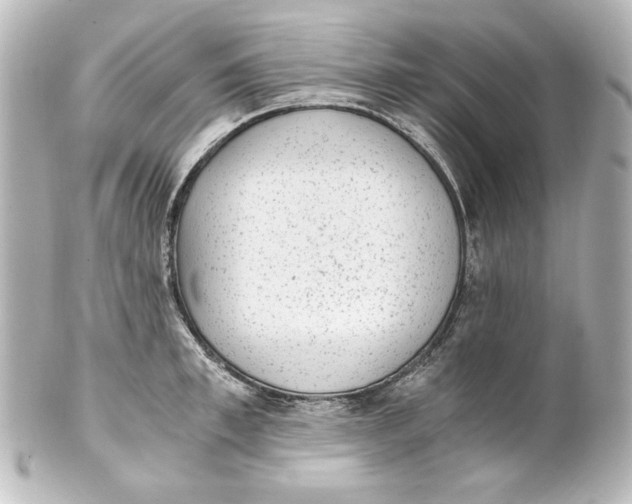 X0000101430997200807280956