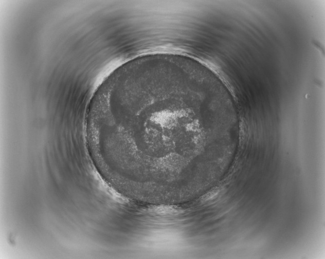 X0000101430998200807280956